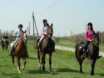 Agriturismo La Riccardina Будрио Экстерьер фото